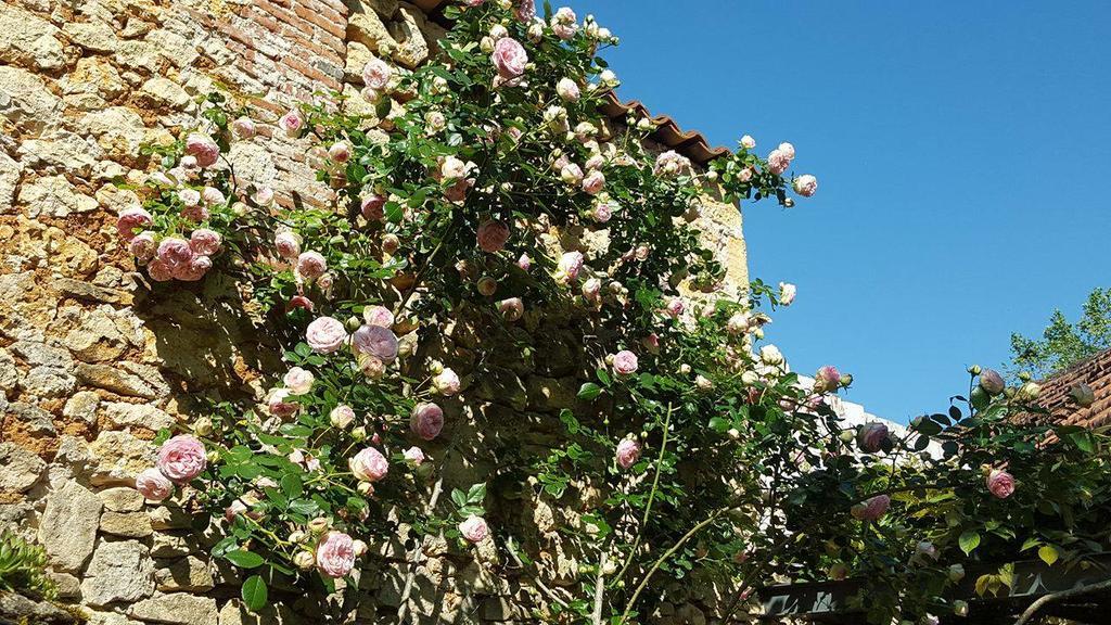 Le Clos Des Songes Saint-Leon-sur-Vezere Εξωτερικό φωτογραφία